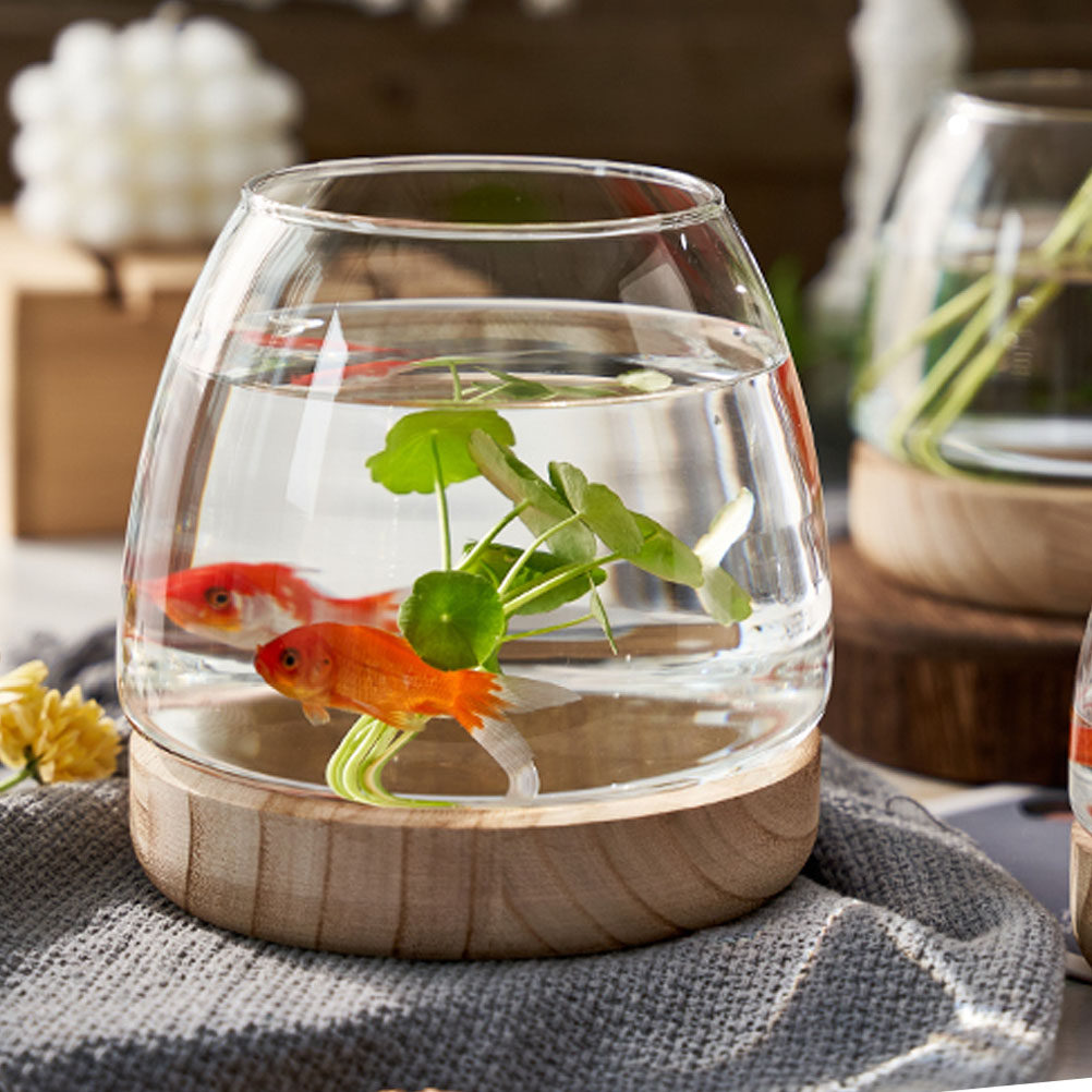 Aquarium Planting - 1Set Premium Glass Hydroponic Plant Terrarium