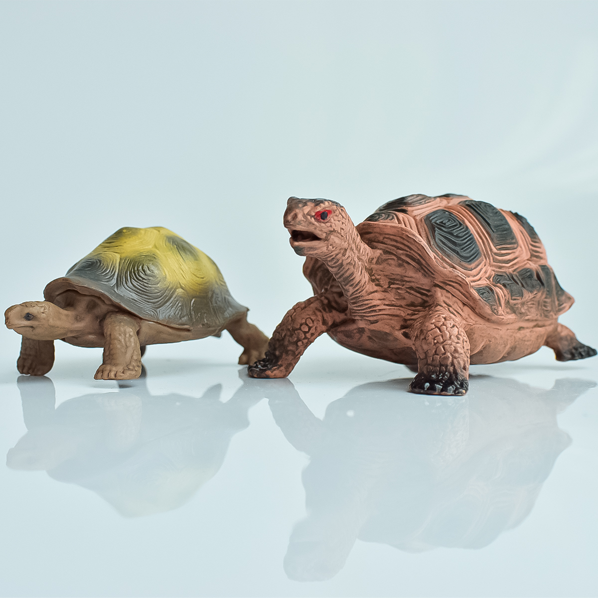 Aquarium Planting - Painted Realistic Animal Turtle | Aquatic