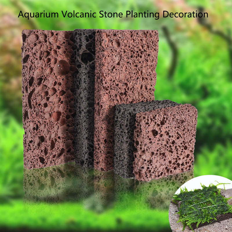 Aquarium Planted Background - Volcanic Aquarium Decoration Fish Tank Plant