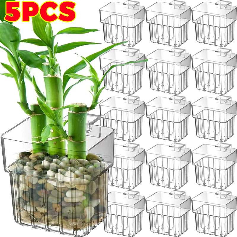 Aquarium Planting - 1/5pcs Aquarium Decoration Plant Cup Transparent