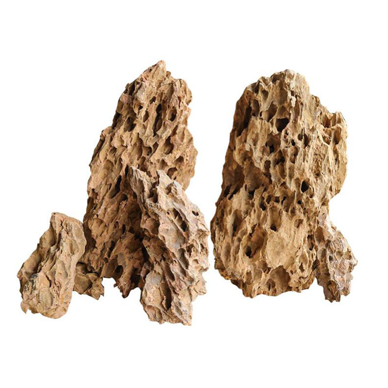 Aquarium Planted Background - 250g 500g 1000g Natural Aquarium Decor