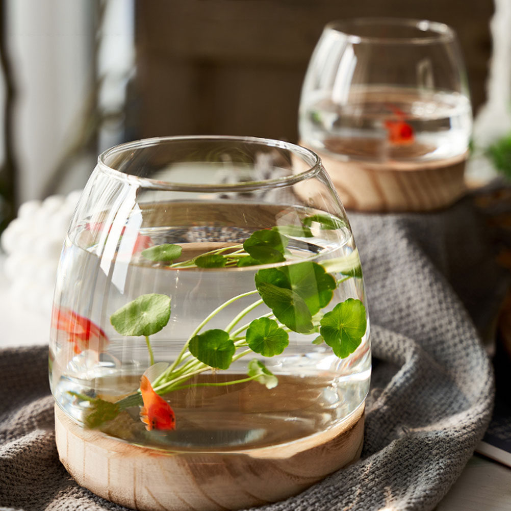 1Set Premium Glass Hydroponic  - огляд і ціна Aquarium Planting