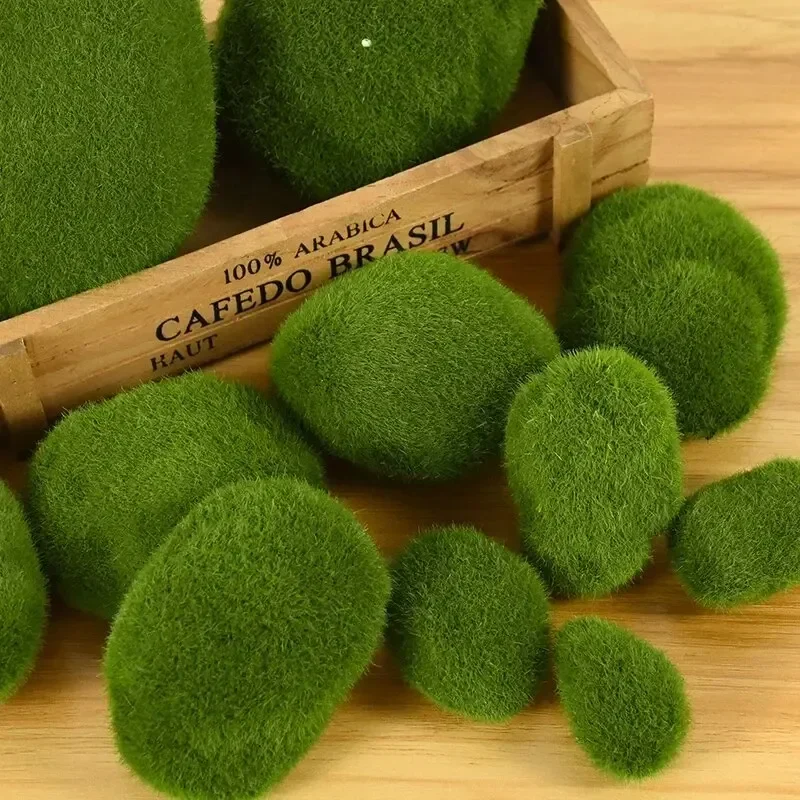 Live Marimo Moss Balls , Simul - огляд і ціна Aquarium Plant Echinodorus