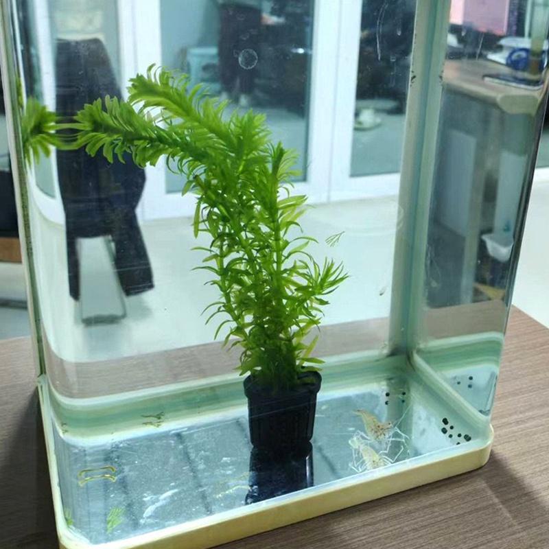 4Pcs Pet Fish Tank Landscaping - огляд і ціна Aquarium Planting
