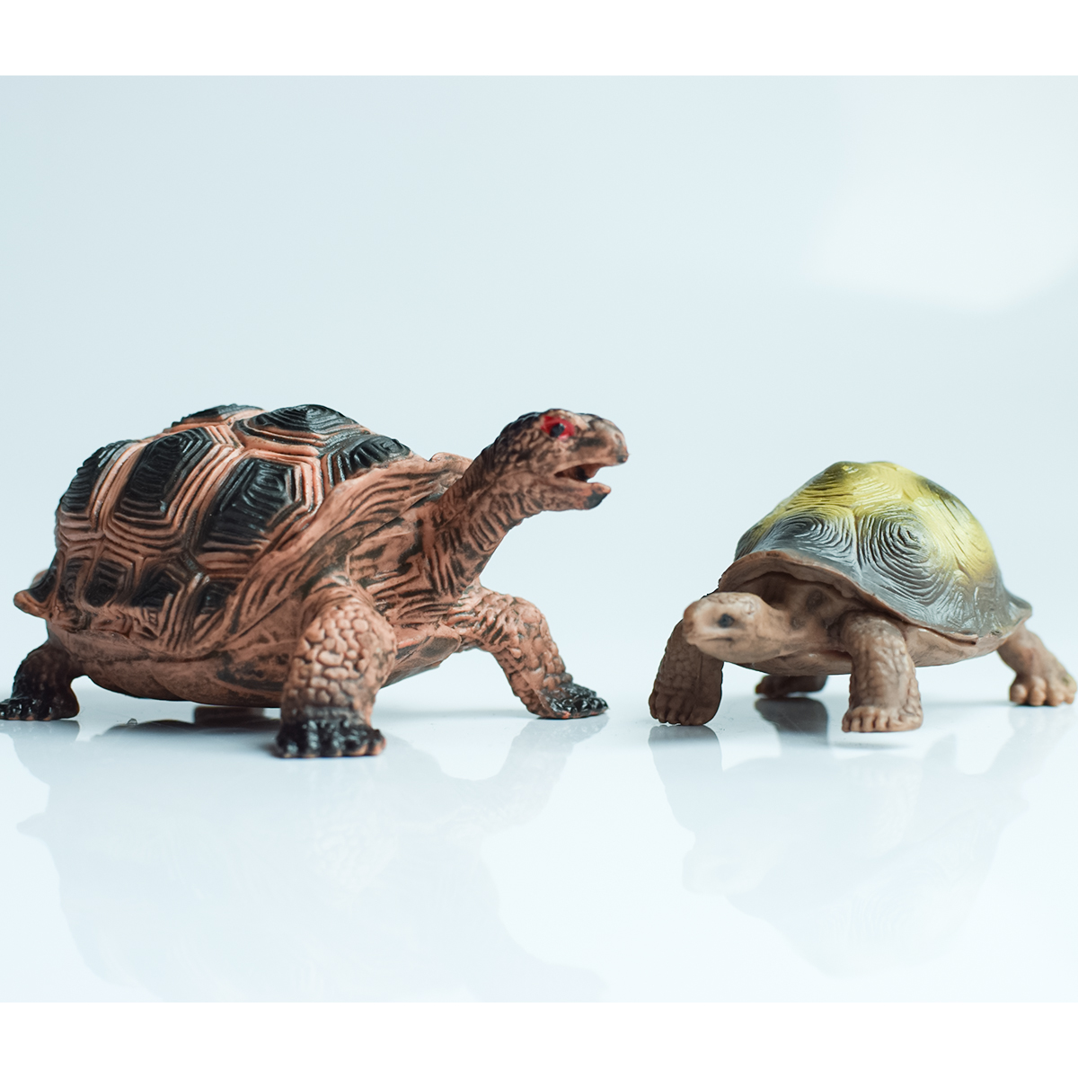 Painted Realistic Animal Turtl - огляд і ціна Aquarium Planting