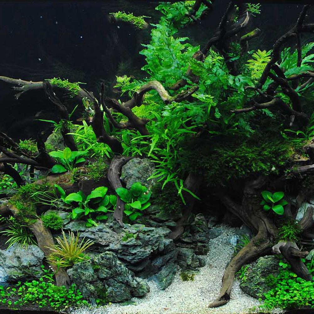 N1N Wood Reptile Tank Backgrou - огляд і ціна Aquarium Planted Background