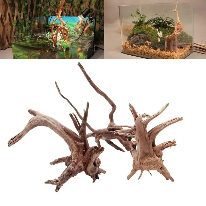Natural Tree Trunk Driftwood A - огляд і ціна Aquarium Plant Guide