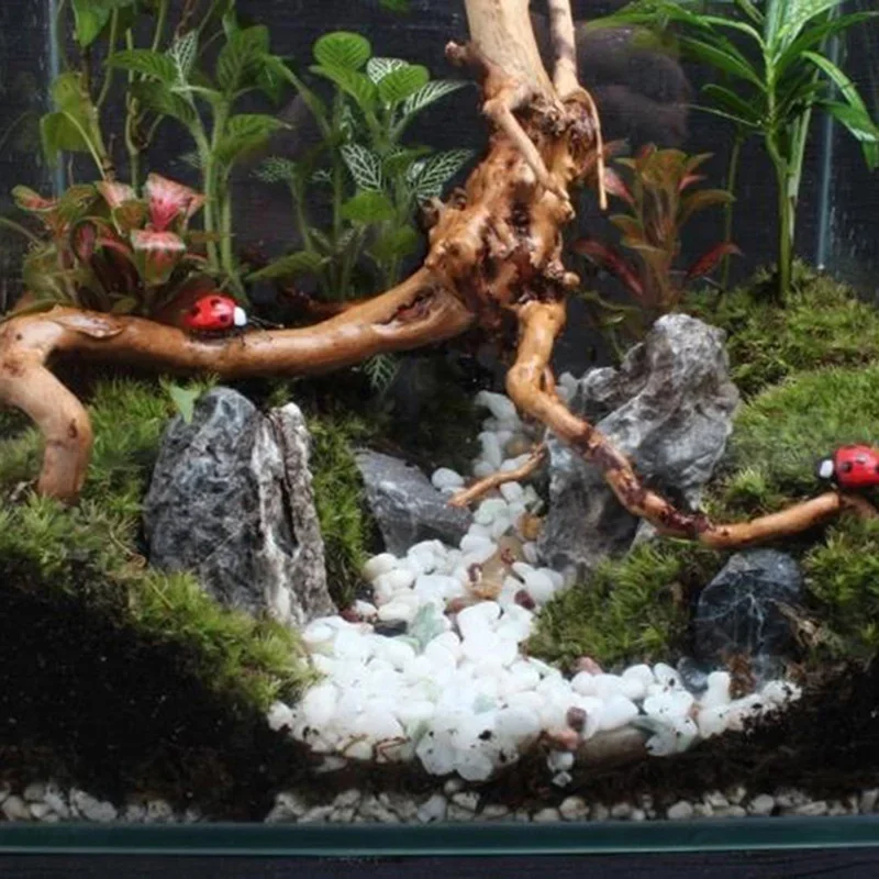 Natural Tree Trunk Driftwood A - огляд і ціна Aquarium Plant Guide