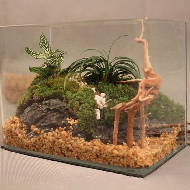 Natural Tree Trunk Driftwood A - огляд і ціна Aquarium Plant Guide