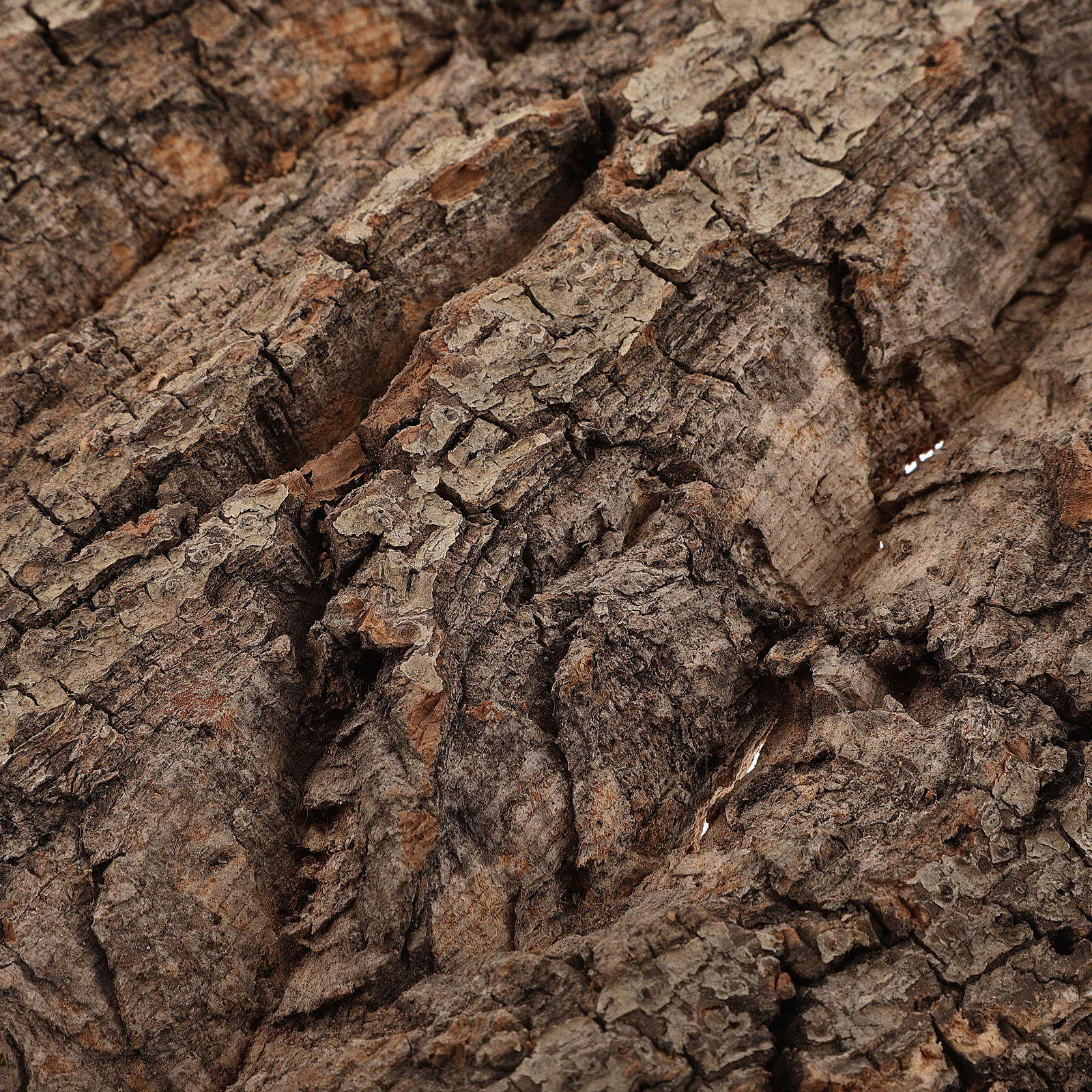 Natural Cork Bark Background B - огляд і ціна Aquarium Planted Background