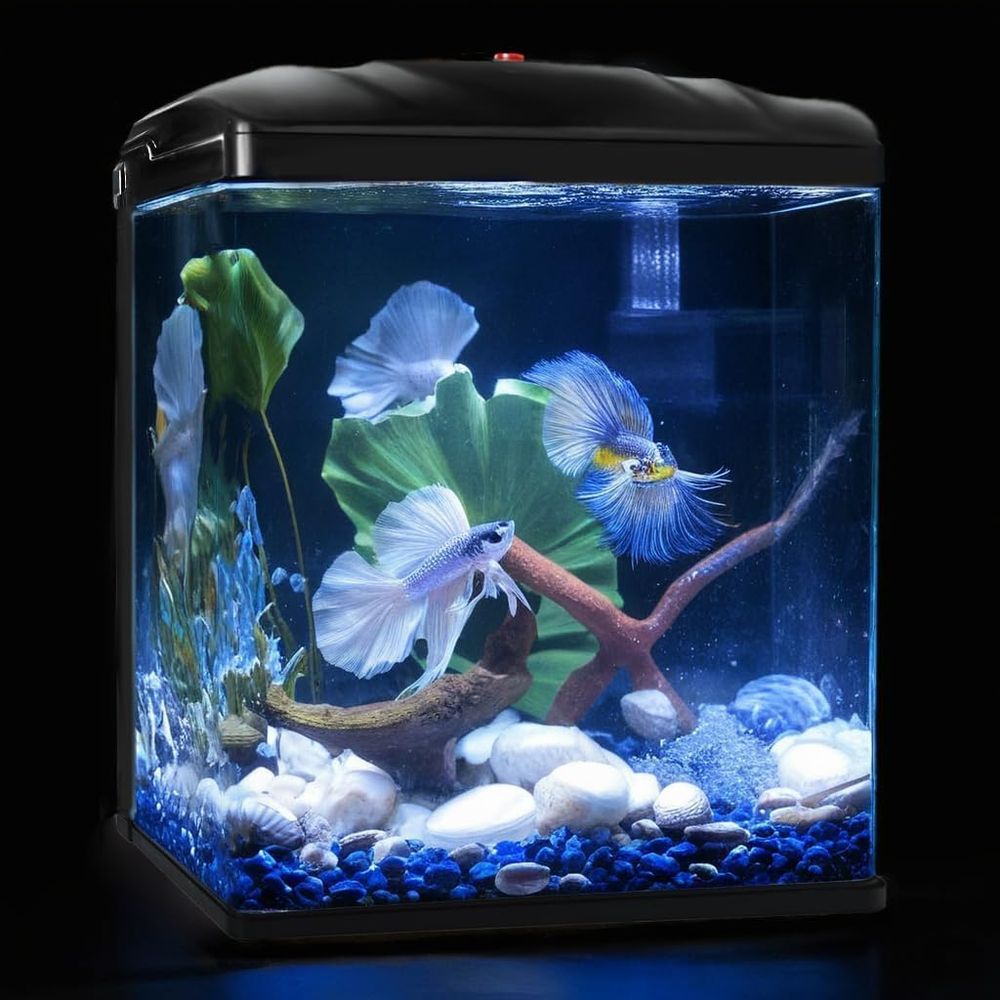 Small ish Tank, 2 Gallon Glass - огляд і ціна Planted Aquarium Cleaning Kit
