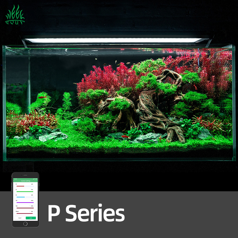 WEEK AQUA Pandora P Series Aqu - огляд і ціна Aquarium Plant On Top
