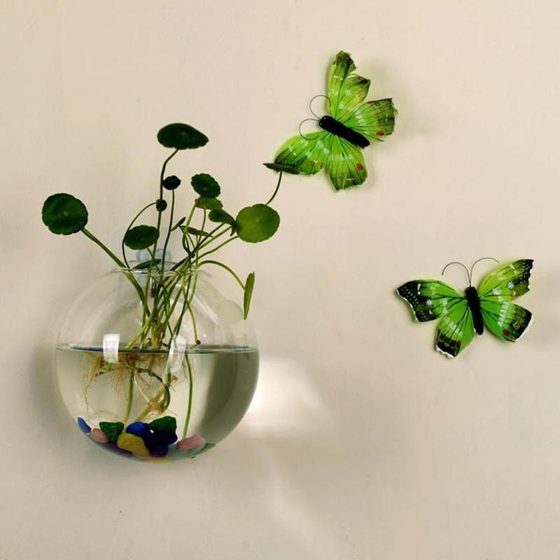 Creative Wall Mounted Glass Va - огляд і ціна Aquarium Plant Echinodorus