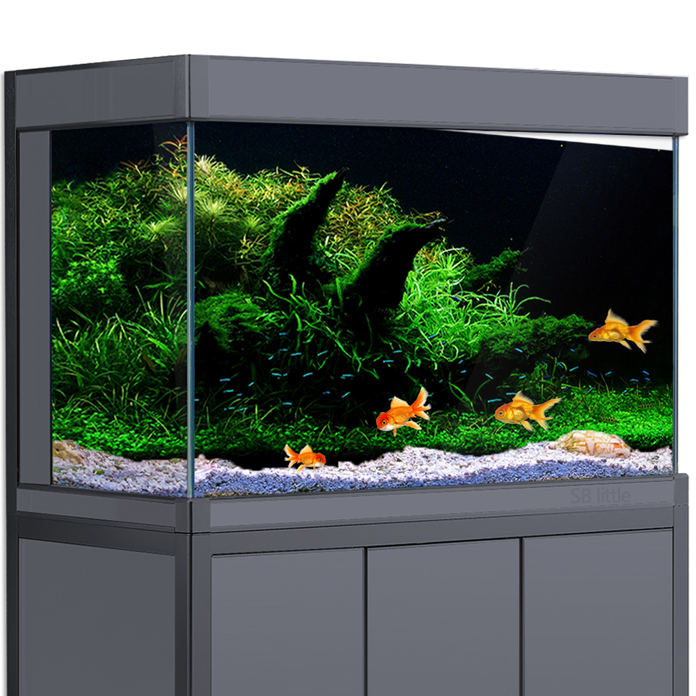 Aquarium Background Fish Tank  - огляд і ціна Aquarium Planted Background