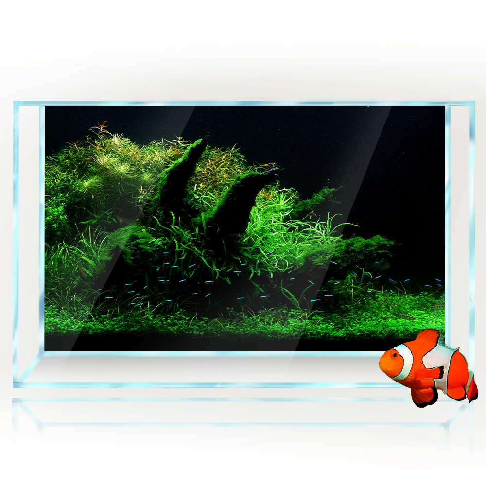 Aquarium Background Fish Tank  - огляд і ціна Aquarium Planted Background