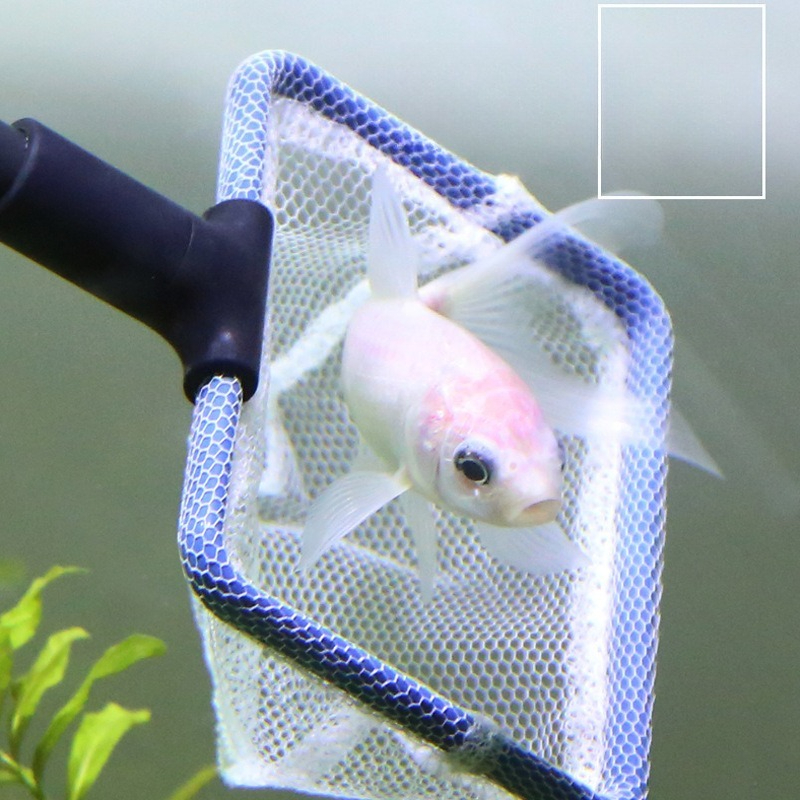 Aquarium Cleaning Tool Set Mul - огляд і ціна Planted Aquarium Cleaning Kit