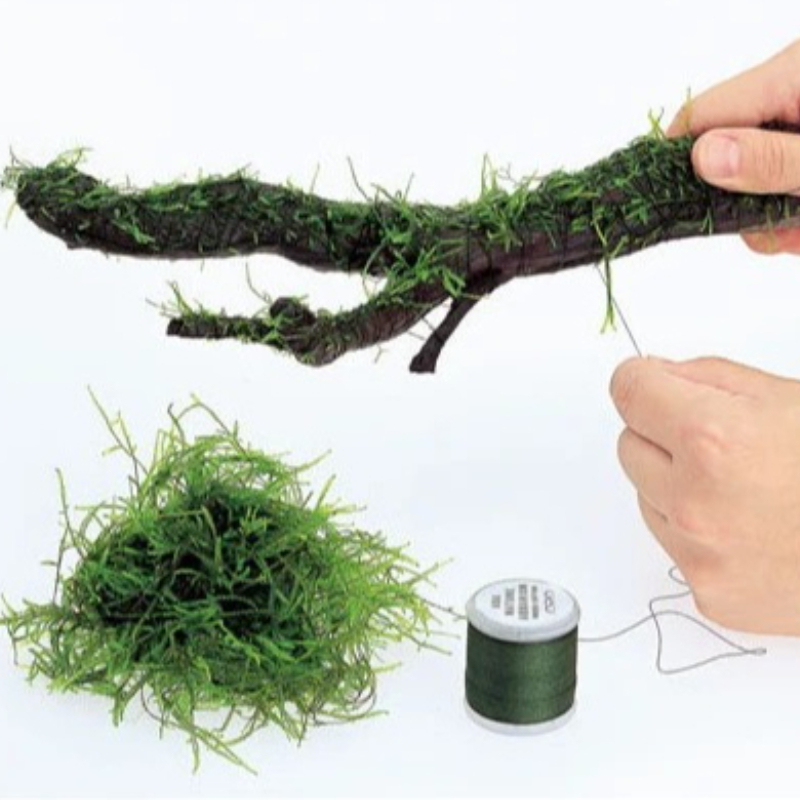 AQUA NEST 200m/roll Naturally  - огляд і ціна Aquarium Plant Live
