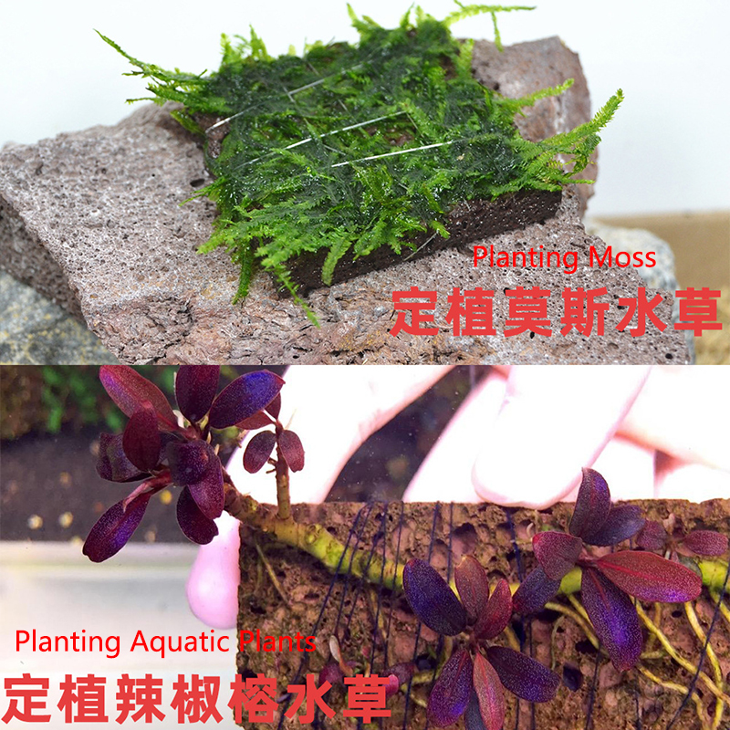 Volcanic Aquarium Decoration F - огляд і ціна Aquarium Planted Background