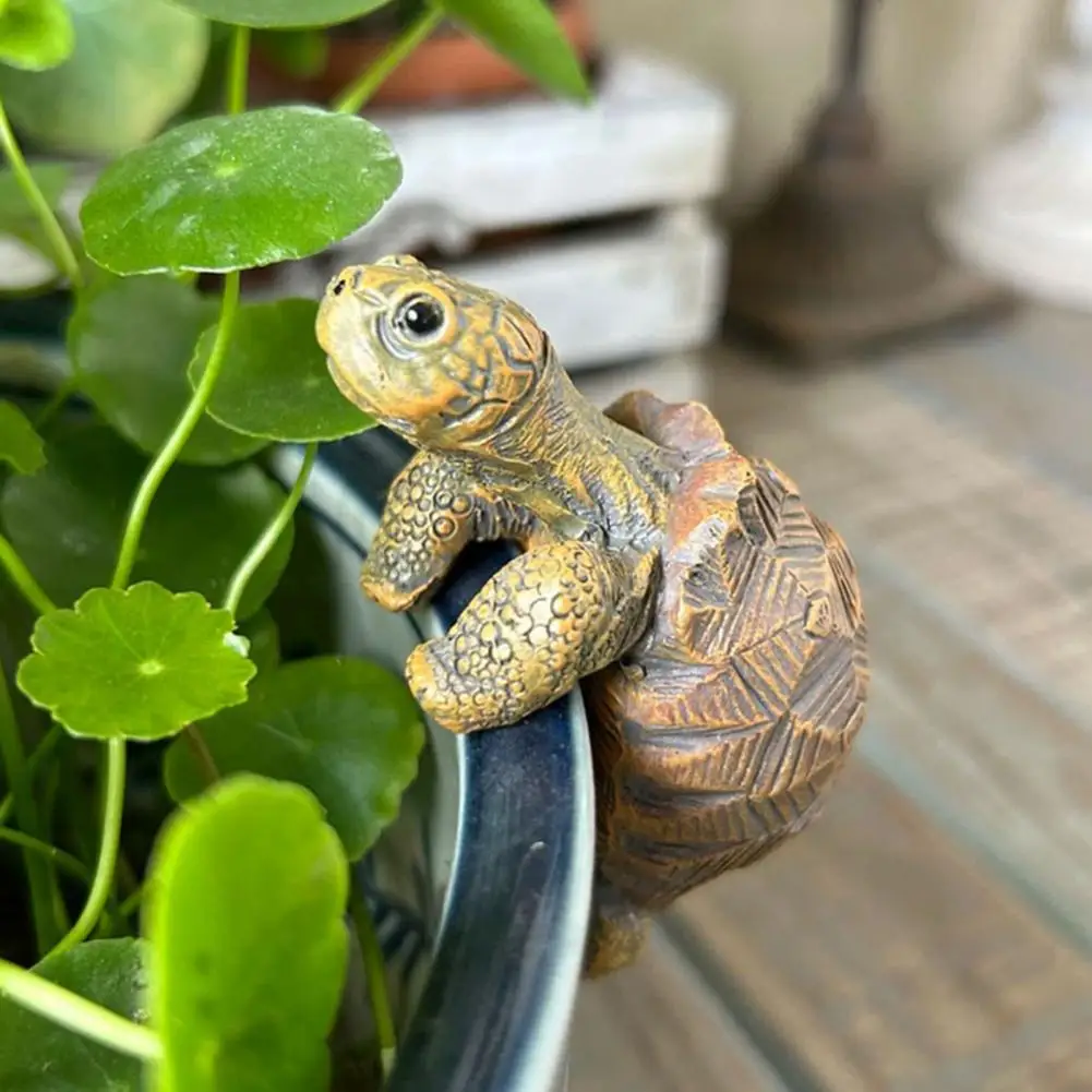 Fishing Turtle Hanging Turtle  - огляд і ціна Aquarium Planting
