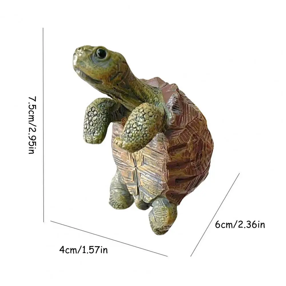Fishing Turtle Hanging Turtle  - огляд і ціна Aquarium Planting