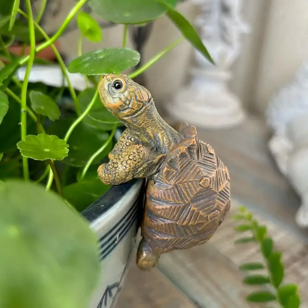 Fishing Turtle Hanging Turtle  - огляд і ціна Aquarium Planting