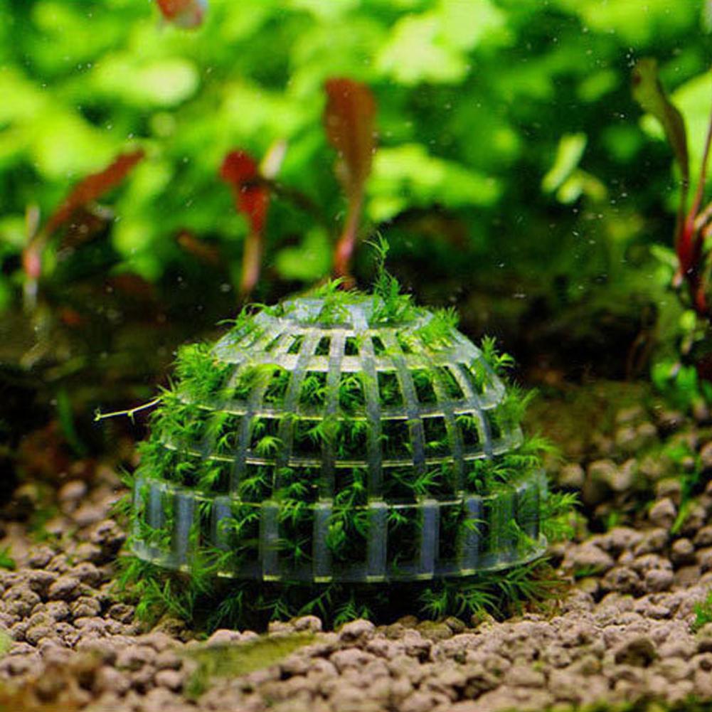 Aquarium Fish Tank Media Moss  - огляд і ціна Aquarium Plant Echinodorus