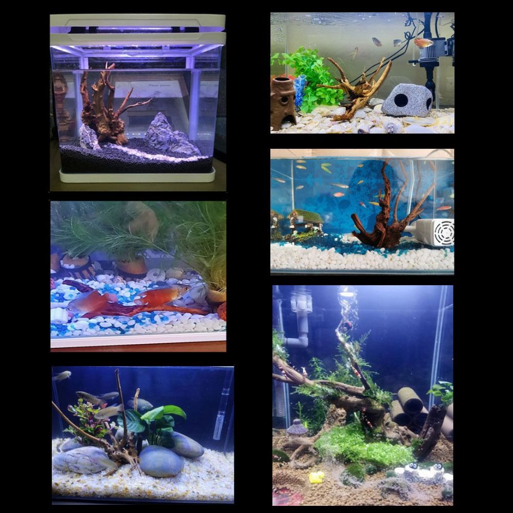 Natural Tree Trunk Aquarium De - огляд і ціна Aquarium Plant Guide