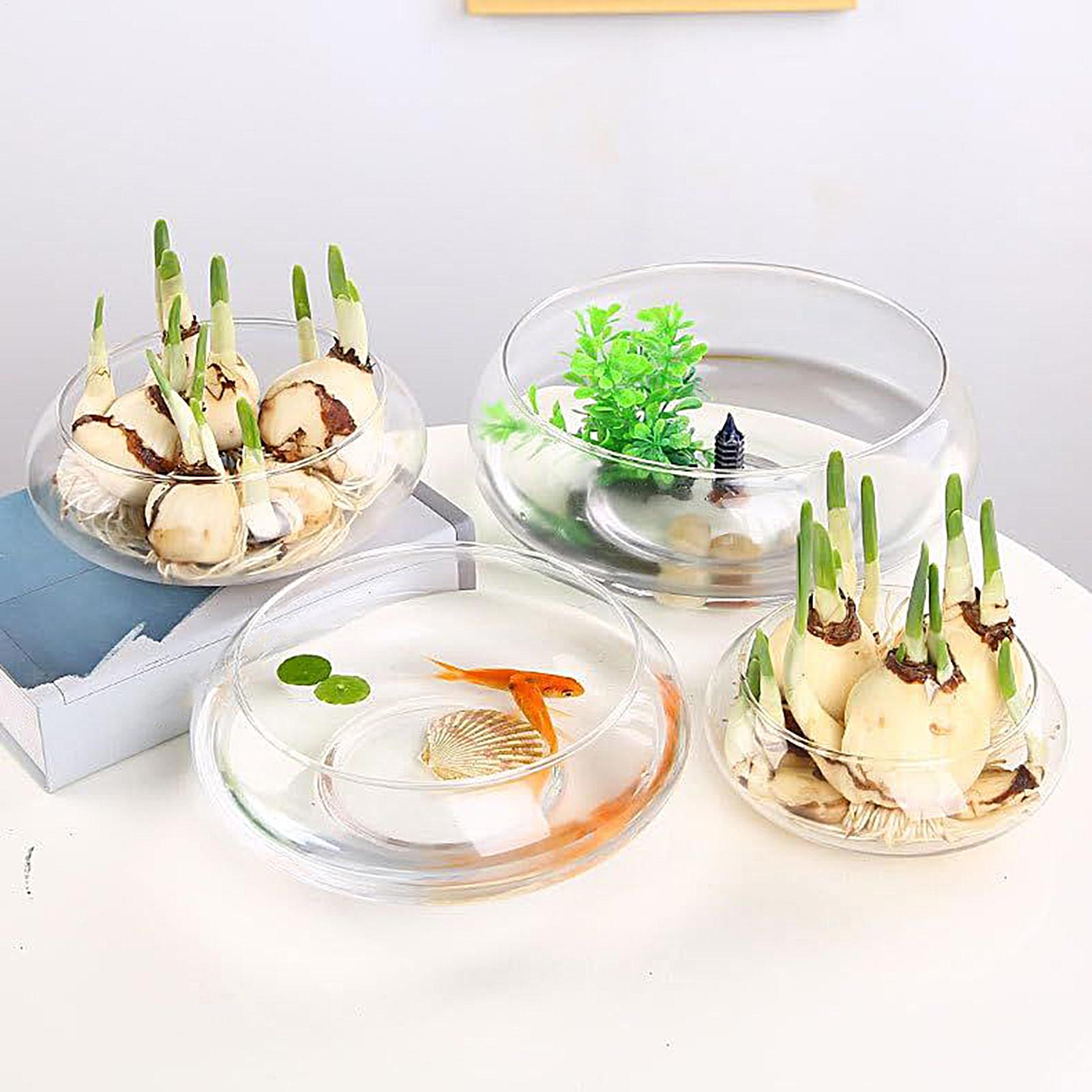 Fish Glass Bowl Glass Large Hy - огляд і ціна Aquarium Planting