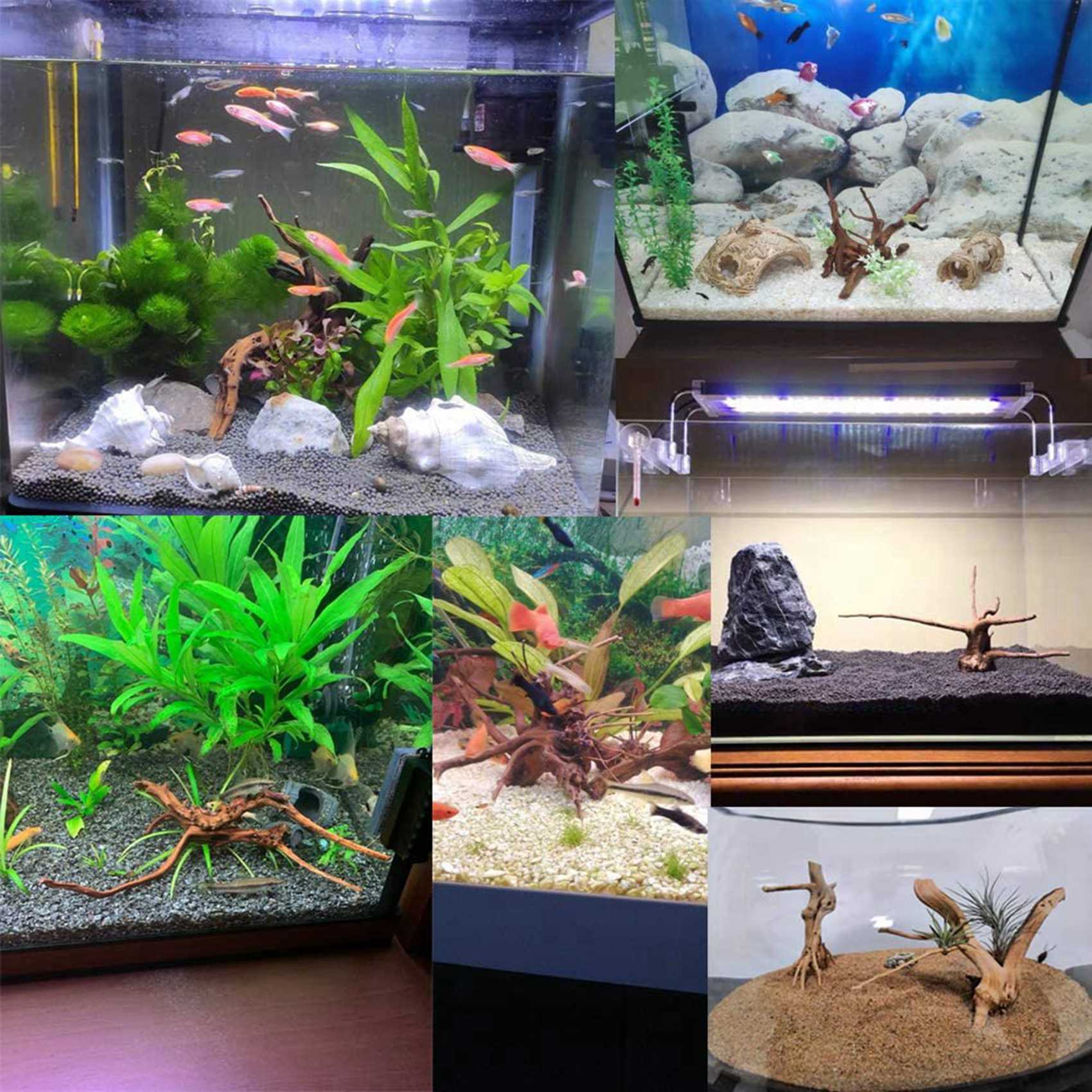 Hot Sale-Mini Driftwood For Aq - огляд і ціна Aquarium Plant Guide