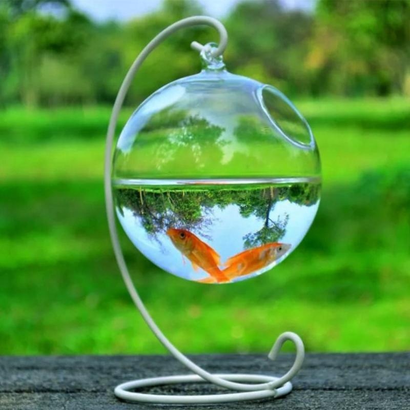 Transparent Spherical Glass Ha - огляд і ціна Aquarium Planted Fish Tank