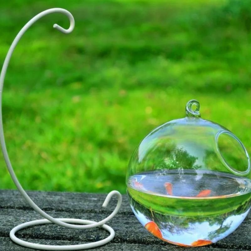 Transparent Spherical Glass Ha - огляд і ціна Aquarium Planted Fish Tank