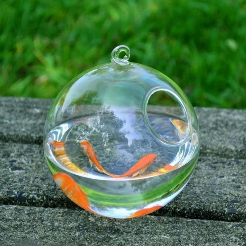 Transparent Spherical Glass Ha - огляд і ціна Aquarium Planted Fish Tank