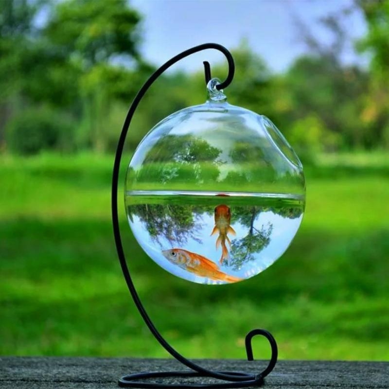 Transparent Spherical Glass Ha - огляд і ціна Aquarium Planted Fish Tank