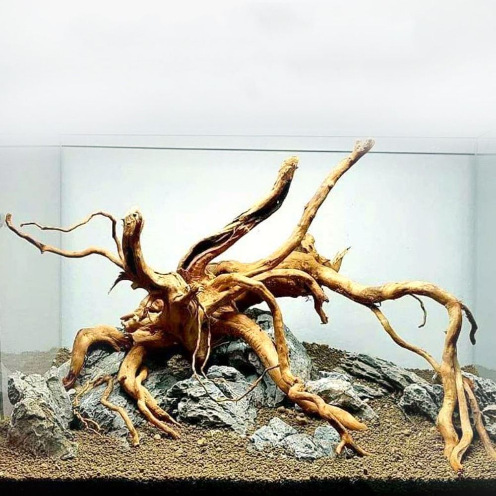 20-25CM Large Aquarium Driftwo - огляд і ціна Aquarium Plant Guide