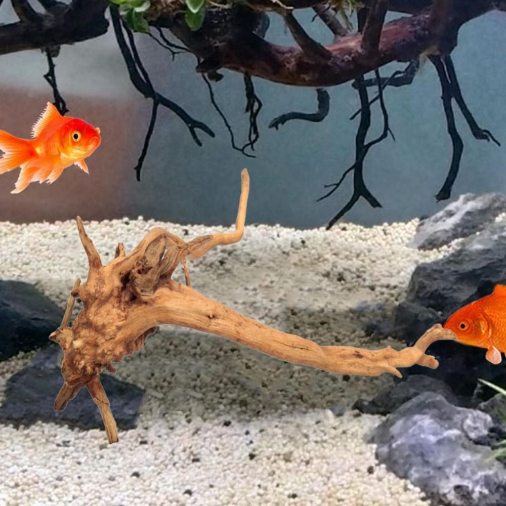20-25CM Large Aquarium Driftwo - огляд і ціна Aquarium Plant Guide