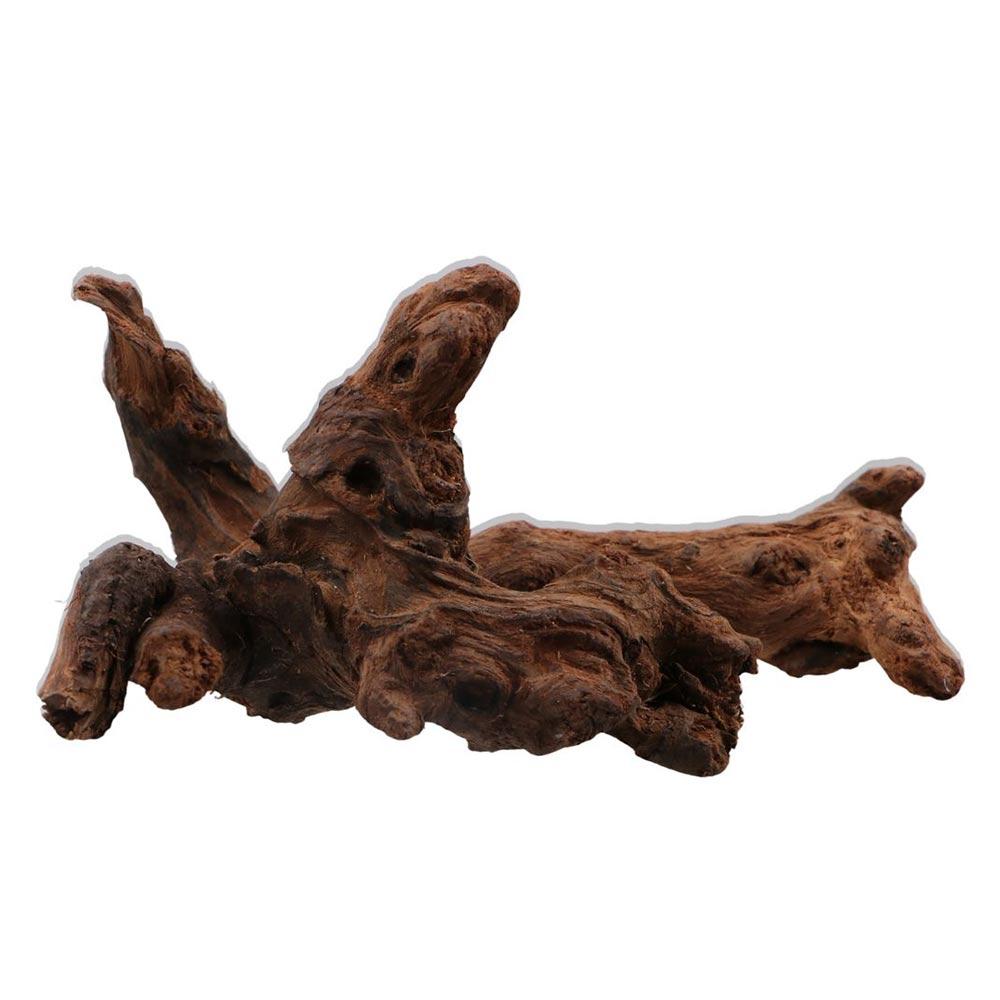 Creative Irregular Shape Coral - огляд і ціна Aquarium Plant Guide