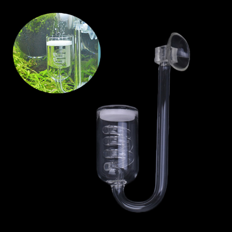 Fish Tank Aquarium Plant CO2 S - огляд і ціна Aquarium Plant Echinodorus