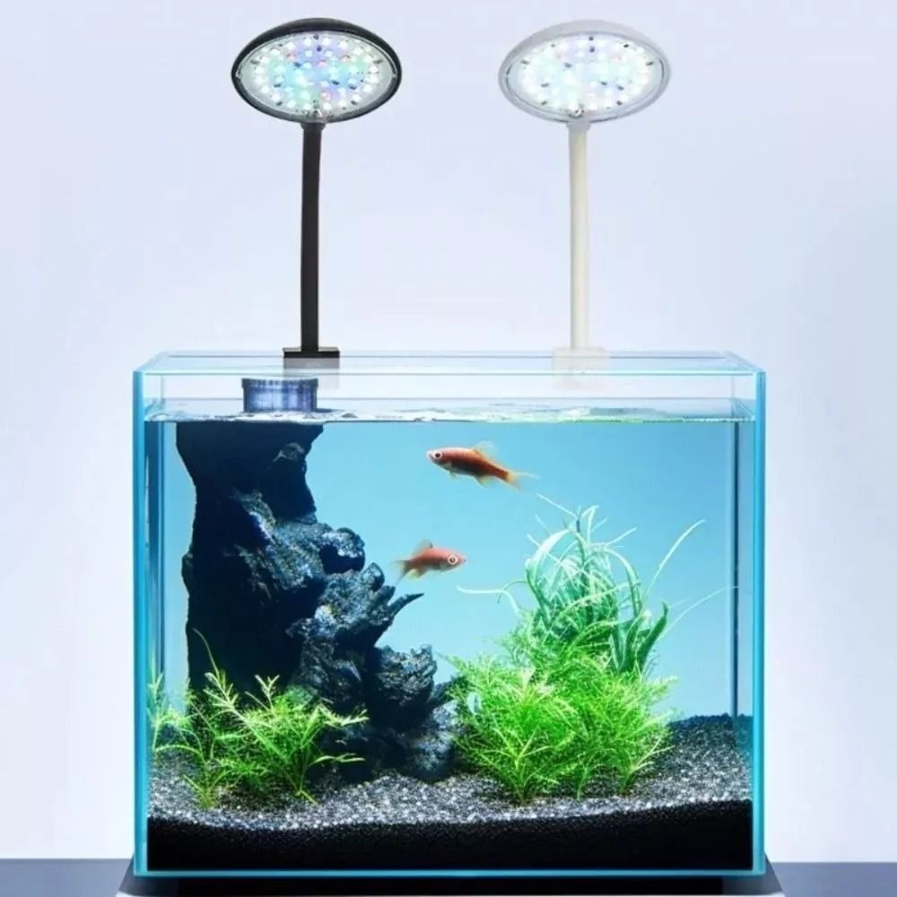 New Mini Fish Tank Clip Lamp 5 - огляд і ціна Aquarium Plant Live
