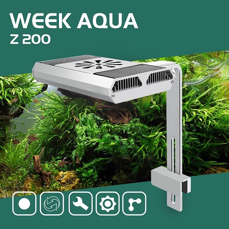 Full Spectrum Fish Tank Light  - огляд і ціна Aquarium Planting