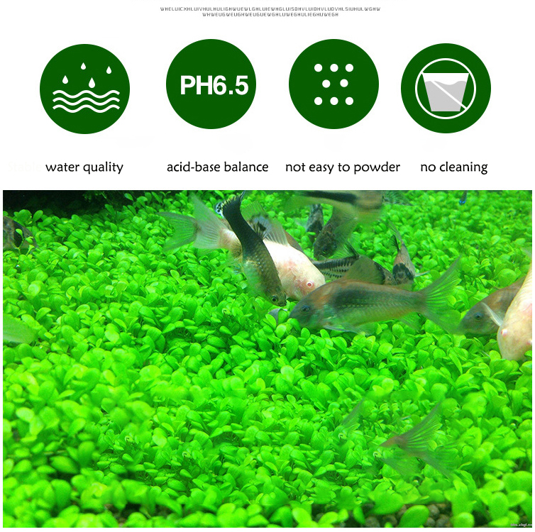 Aquarium Plant Seeds Soil Fish - огляд і ціна Aquarium Planted Fish Tank