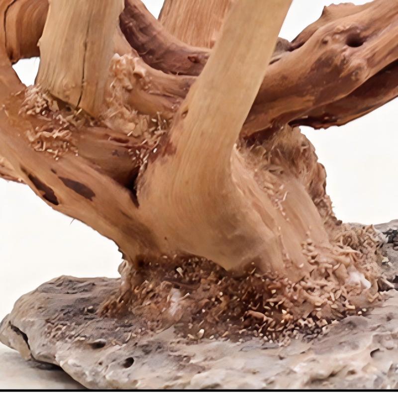 1PC Aquarium Landscaping Wood  - огляд і ціна Aquarium Plant Guide