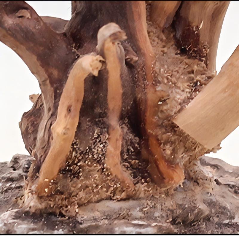 1PC Aquarium Landscaping Wood  - огляд і ціна Aquarium Plant Guide