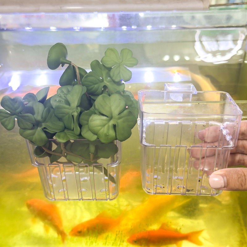 1/5pcs Aquarium Decoration Pla - огляд і ціна Aquarium Planting