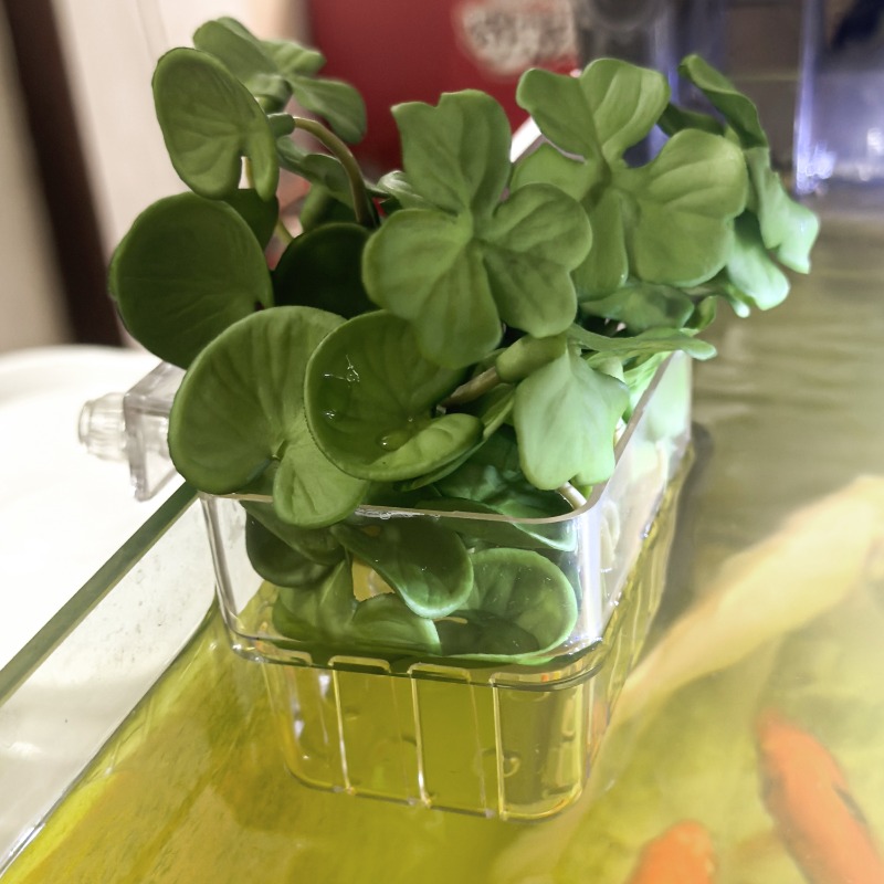 1/5pcs Aquarium Decoration Pla - огляд і ціна Aquarium Planting