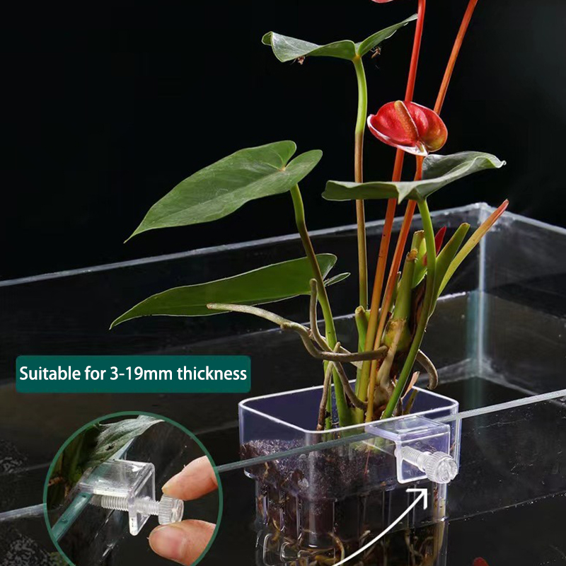 Multifunctional Fish Aquarium  - огляд і ціна Aquarium Planted Fish Tank