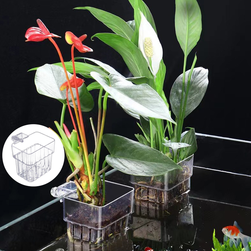 Multifunctional Fish Aquarium  - огляд і ціна Aquarium Planted Fish Tank