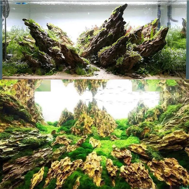 250g 500g 1000g Natural Aquari - огляд і ціна Aquarium Planted Background