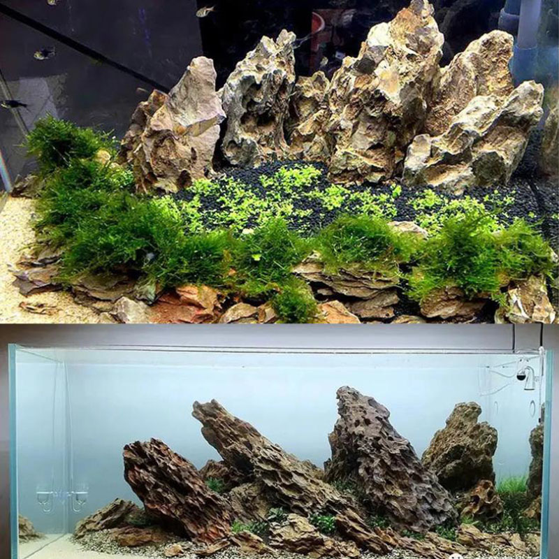 250g 500g 1000g Natural Aquari - огляд і ціна Aquarium Planted Background