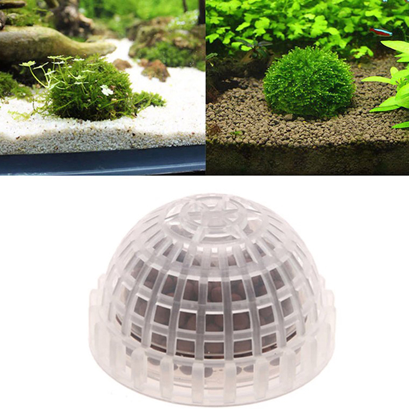 Aquatic Pet Supplies Decoratio - огляд і ціна Aquarium Plant Echinodorus