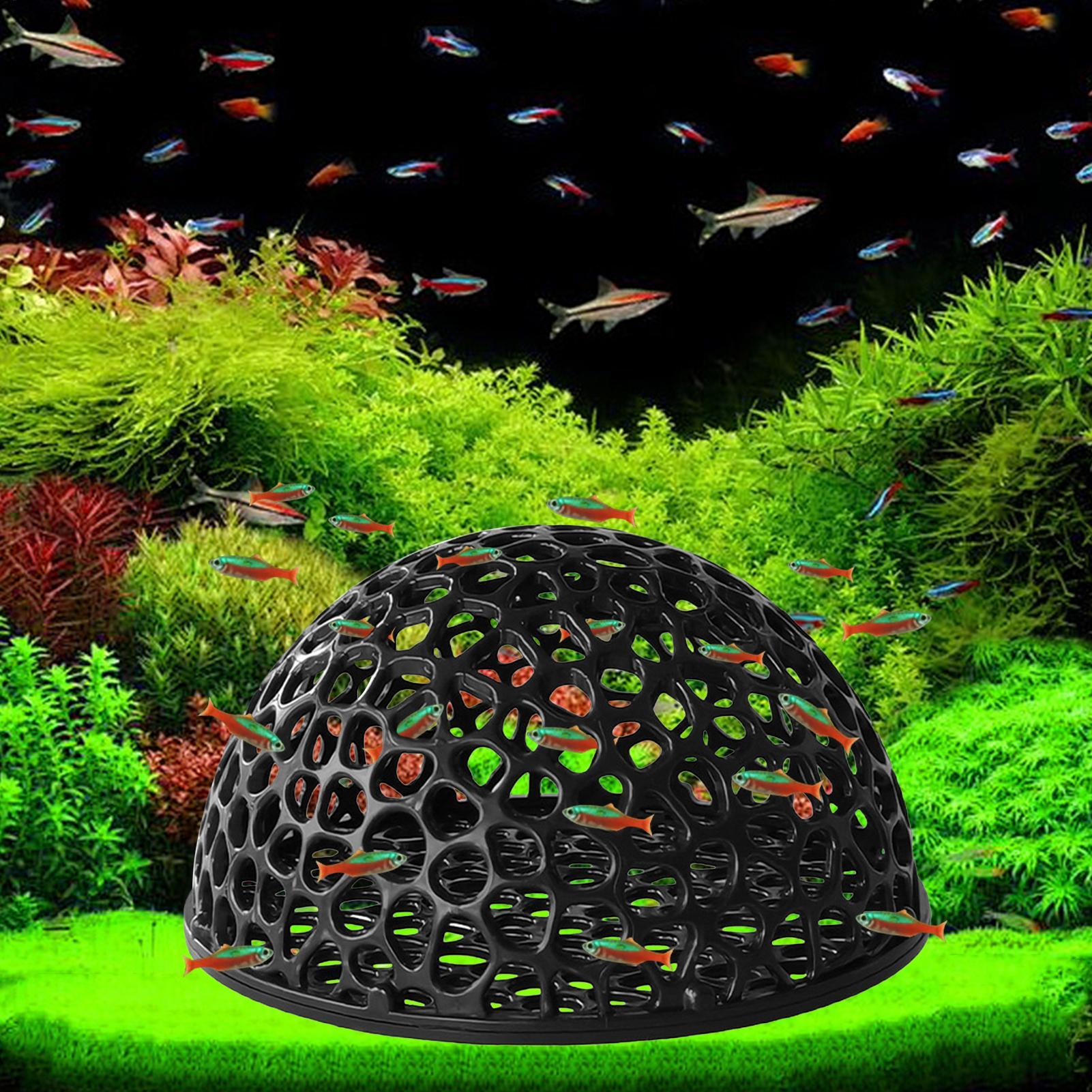 Aquarium shrimp house Cave Min - огляд і ціна Aquarium Plant Live
